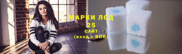 спайс Инсар