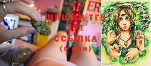 spice Зеленодольск